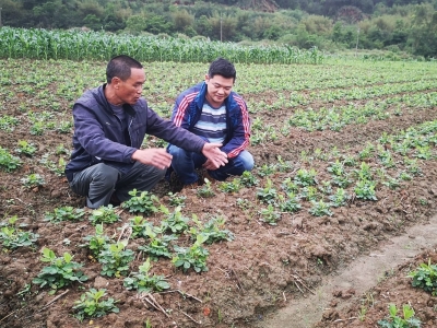 蕉岭县新铺镇潘田村扶贫干部黄自军： “产业套餐”助村民脱贫致富