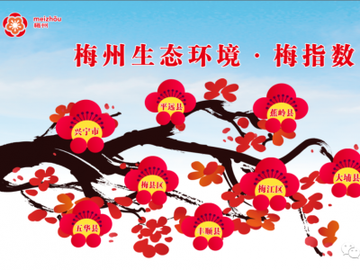 哪里的水最净？梅州2020年12月水环境质量 “梅指数”出炉
