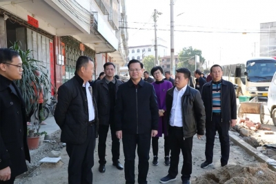 曾永祥到丰顺丰良督导村（社区）“两委”换届、乡村振兴等工作