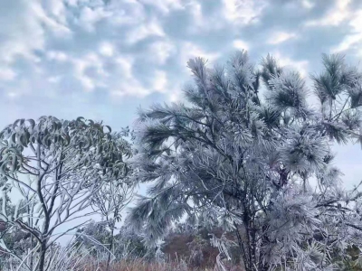 美丽“冻人”！快来看梅江区草木披“冰衣”的雾凇景观~