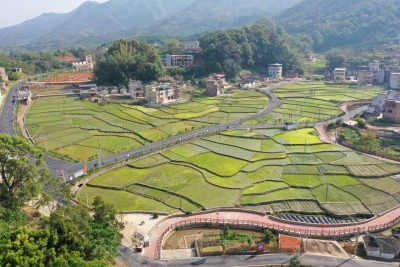 奏响乡村振兴曲 唱好村美民富歌！丰顺干群同心勠力打造幸福家园