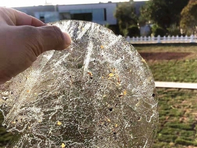 跨年寒潮“速冻”兴宁！低温持续“在线”，各部门科学部署防范...