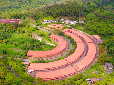 梅县区领导到雁洋镇调研脱贫攻坚工作：大力发展特色农业，助力乡村振兴 