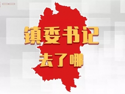 平远各镇党委书记，上周在忙什么？
