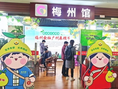 为您送上甜蜜“柚”惑！梅州金柚广州展销节今日启动 