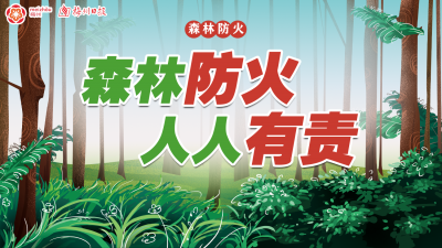森林火灾猛于虎！让我们一起出招，防患于未“燃”！