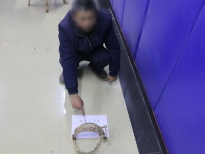 山上放置“野猪夹”致两人受伤，嫌疑人已被采取刑事强制措施