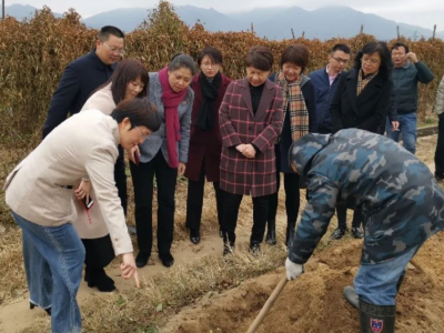 省妇联调研组来蕉岭开展“深调研”工作