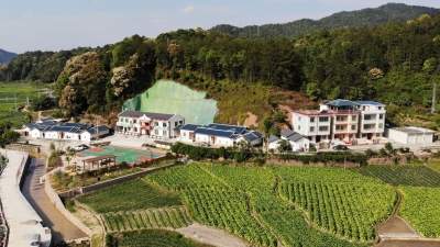 平远脱贫攻坚的“收官答卷”：20个省定贫困村3971名贫困户实现脱贫！