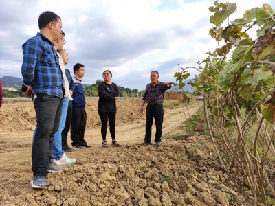 帮扶工作结束，扶贫项目还能延续吗？丰顺县留隍镇葛布村这样做...