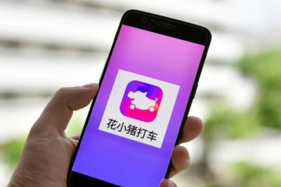 防控落实不力，滴滴、花小猪被罚