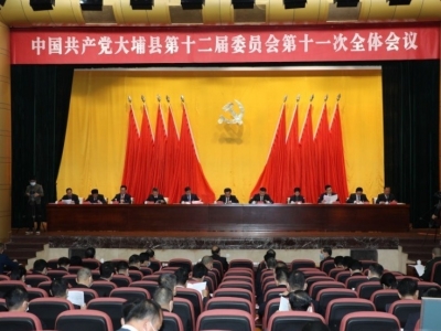 大埔县委十二届十一次全会进行分组讨论：谈感想 提建议 谋发展 奋力打造宜居宜业宜游生态县