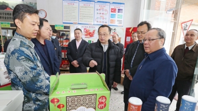 陈敏调研电子商务进农村综合示范工作：打造电商新业态  融入新发展格局