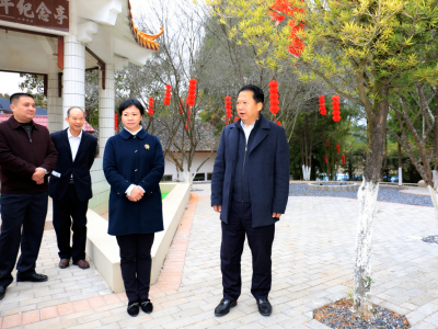 梅江区主要领导率队到西阳镇调研：压实网格化管理责任 狠抓森林防火安全