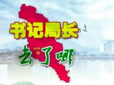 兴宁各镇党委书记、各局局长上周在忙什么？