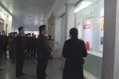 陈伟明率队参观市扫黑除恶专项斗争成果展