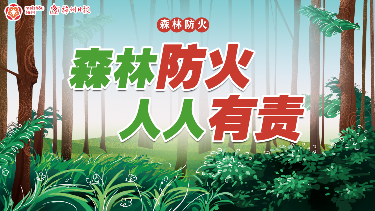 “双节” 防火不松懈！梅县区织密森林安全防护网
