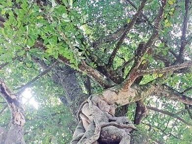 不止山清水秀，岁月在五华龙潭村留下痕迹，处处是惊喜...