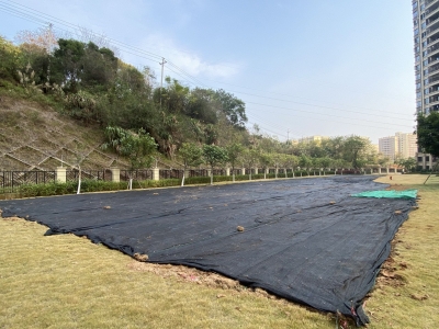 家门口的绿地被铲了？相关部门：按原规划整改！