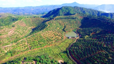 全省唯一！平远县李氏家庭农场入选第二批全国家庭农场典型案例