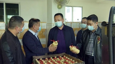 丘文慈、饶森健分别率队督查安全生产、消防、 森林防灭火及疫情防控工作