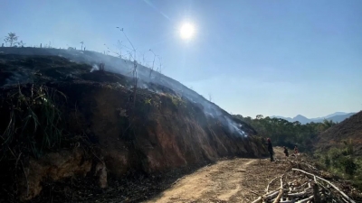 严惩！丰顺一村民焊接牛棚水槽引山火，过火面积达8.6亩