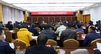兴宁召开2020年度镇（街）党（工）委书记抓基层党建述职评议会