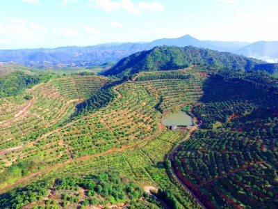 它，是梅州首家“全国家庭农场典型”！怎么做到的？