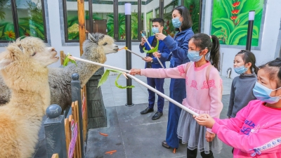 梅州首家室内萌宠乐园28日正式开园！带娃去“客都人家”打卡吧