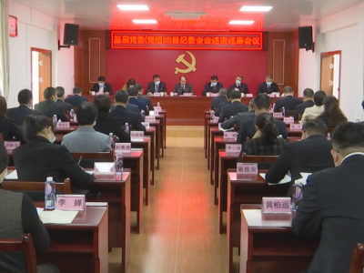 蕉岭县纪委召开基层党委(党组)述责述廉会议