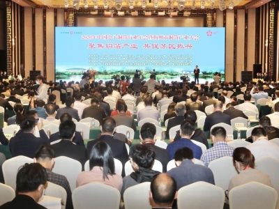 聚焦全会丨申报创建“广东高性能电解铜箔创新研发中心”