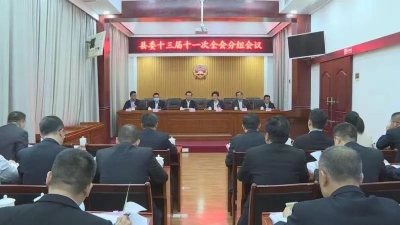 曾永祥、廖茂忠参加丰顺县委十三届十一次全会分组讨论