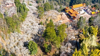 哪片花最让你心动？快来平远五指石，咔嚓咔嚓留下“梅景”吧！