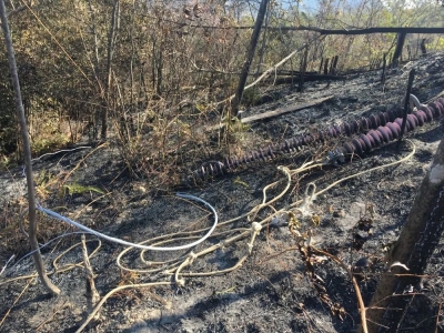 点了一支烟，引起一场山火！差点牢里过大年！