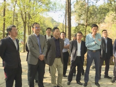 国家开发银行广东省分行党委书记、行长刘浩率队到五华调研国家储备林项目工作