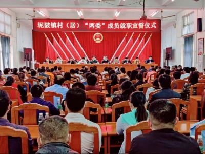 上好“任前第一课”！兴宁坭陂新任村（居）“两委”干部就职宣誓