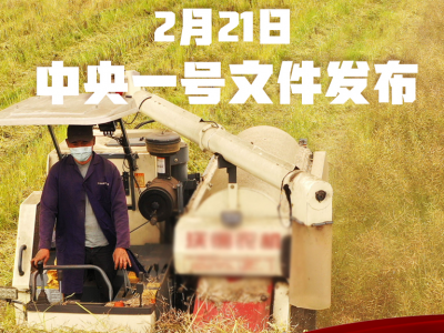 重磅！2021年中央一号文件发布