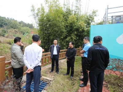 吴泽桐率队调研省委巡视反馈意见整改落实工作情况