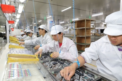 出口额同比增长210% ，辉骏集团发展态势强劲！仿佛“开挂”了一般...