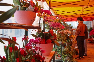 网上逛“花市”、外卖年夜饭……传统“年味”有了更多新元素