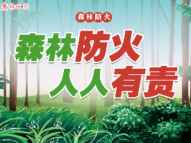 梅州森林火险预警升级为橙色！假期不停歇 筑牢“防火墙”