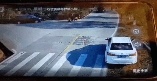 好险！“熊孩子”闪现马路险酿大祸，所幸...