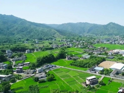 加快发展步伐，平远县奏响现代农业新篇章