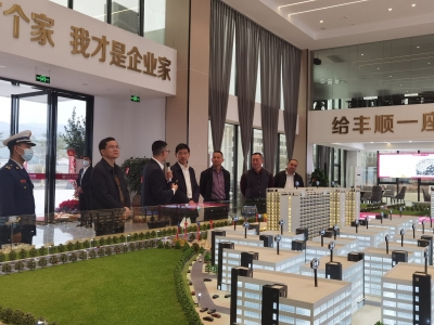 市领导督查安全生产森林防灭火等工作：以更加扎实有力的措施 确保全市安全稳定