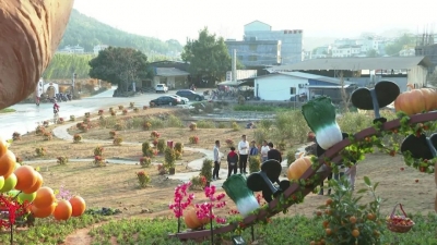 春节黄金周，平远累计接待游客22.52万人次！