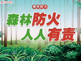 梅江区召开森林防灭火工作会议：坚决防范森林火灾事故发生