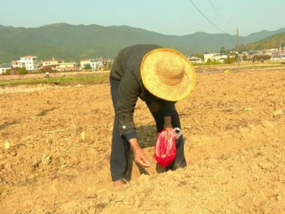 平远：不负好春光 田间耕种忙