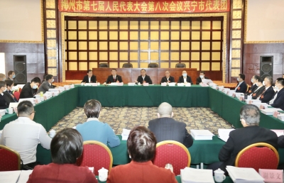 陈敏参加市七届人大八次会议兴宁代表团审议：坚定信心紧抓发展不动摇 为构建“五星争辉”作出兴宁贡献