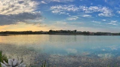 身边事丨剑英公园遇见园丁