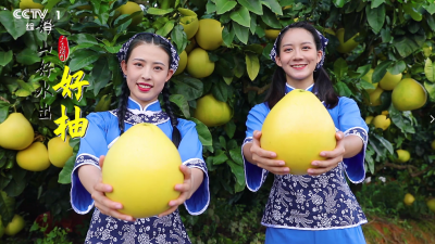 “梅州金柚”拿下湾区认证，直供湾区市场！